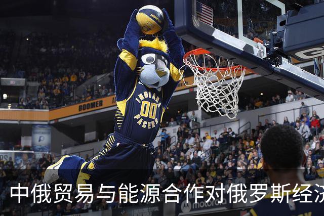 中俄贸易与能源合作对俄罗斯经济稳定的影响研究
